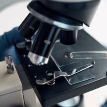 microscope